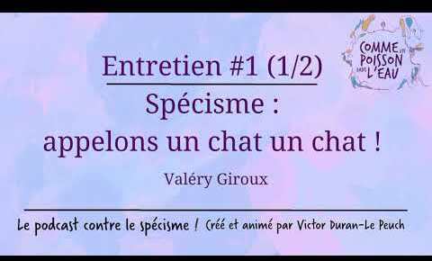 Comme un poisson dans l’eau - #1 Spécisme : appelons un chat un chat ! - Valéry Giroux (1/2)