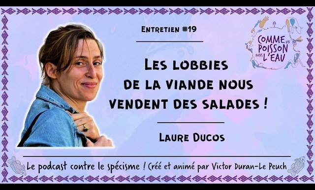 Comme un poisson dans l’eau - #19 Les lobbies de la viande nous vendent des salades ! - Laure Ducos