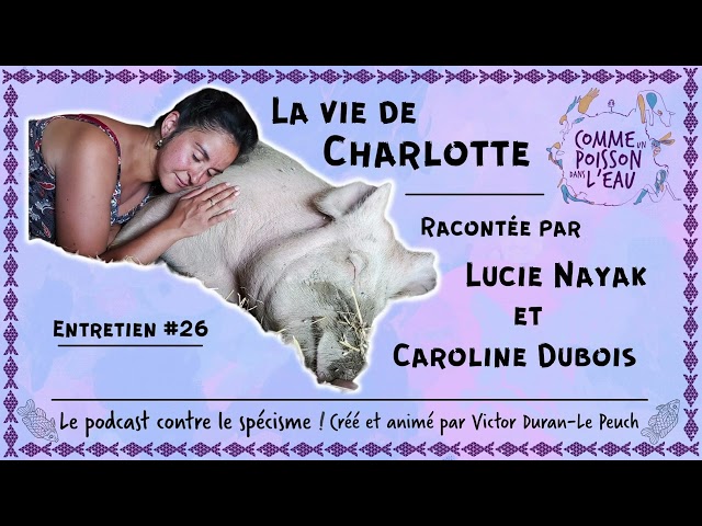 Comme un poisson dans l’eau - #26 La vie de Charlotte - Caroline Dubois & Lucie Nayak