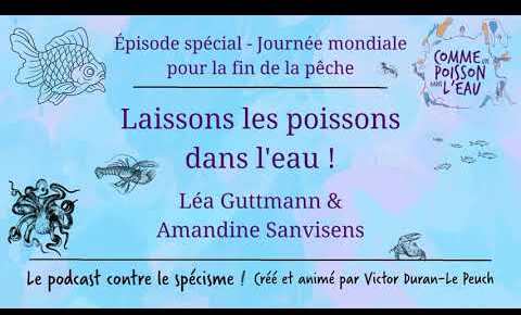 Comme un poisson dans l’eau - Laissons les poissons dans l'eau ! - Amandine Sanvisens & Léa Guttmann (Épisode spécial JMFP)